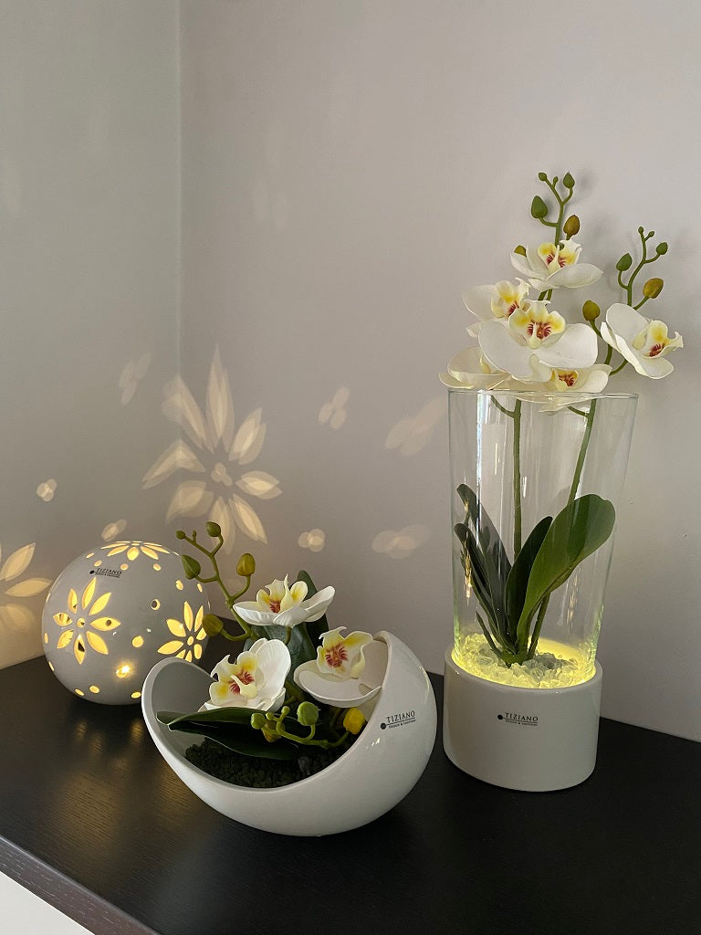 Dekoset Windlicht Laterna+Schale Gazo+Tadino LED