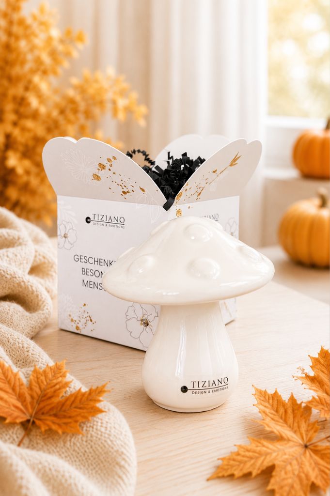 Würfelbox Für Dich mit Pilz Ponti creme