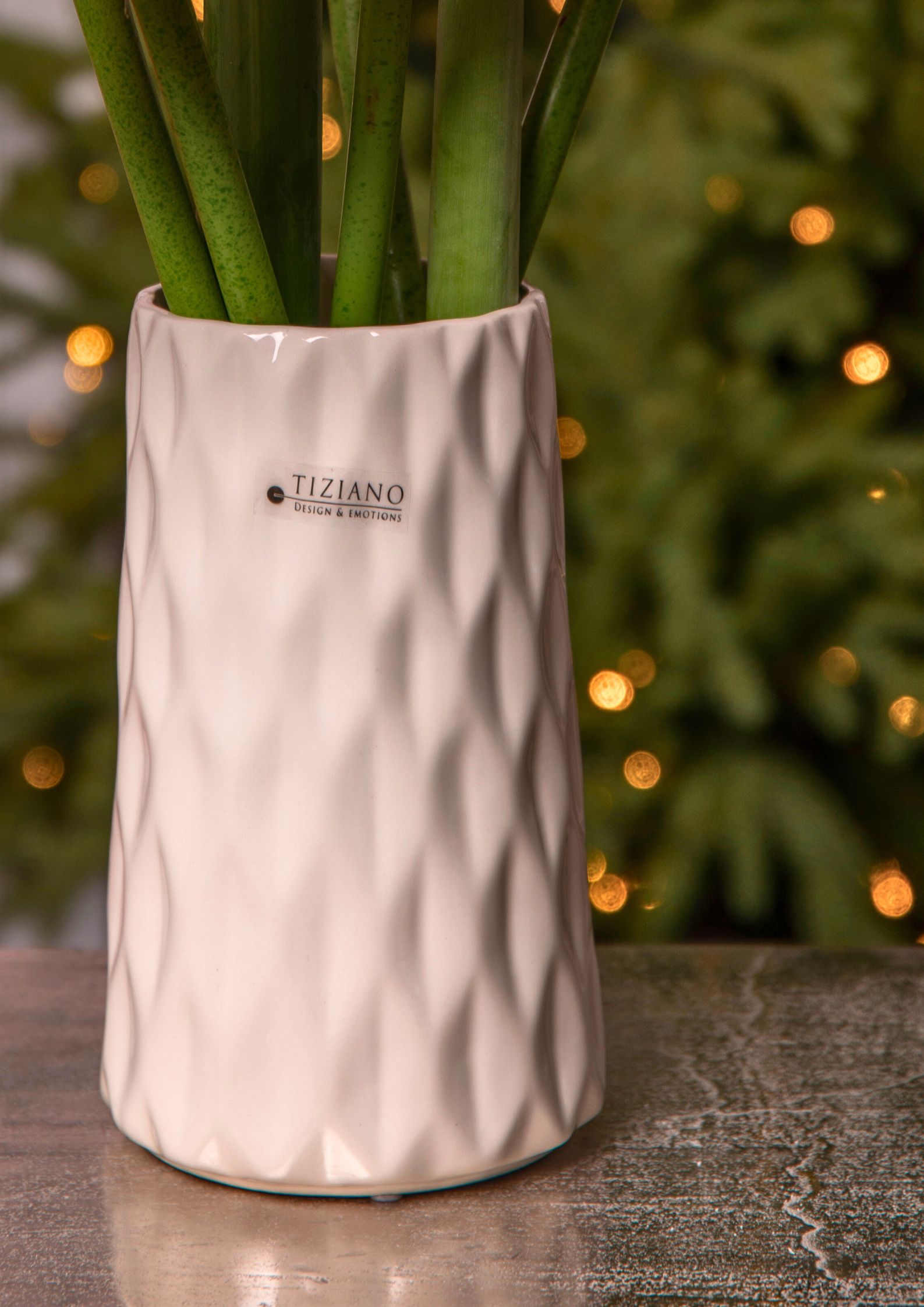 acerra-vase-weiss-creme-detail