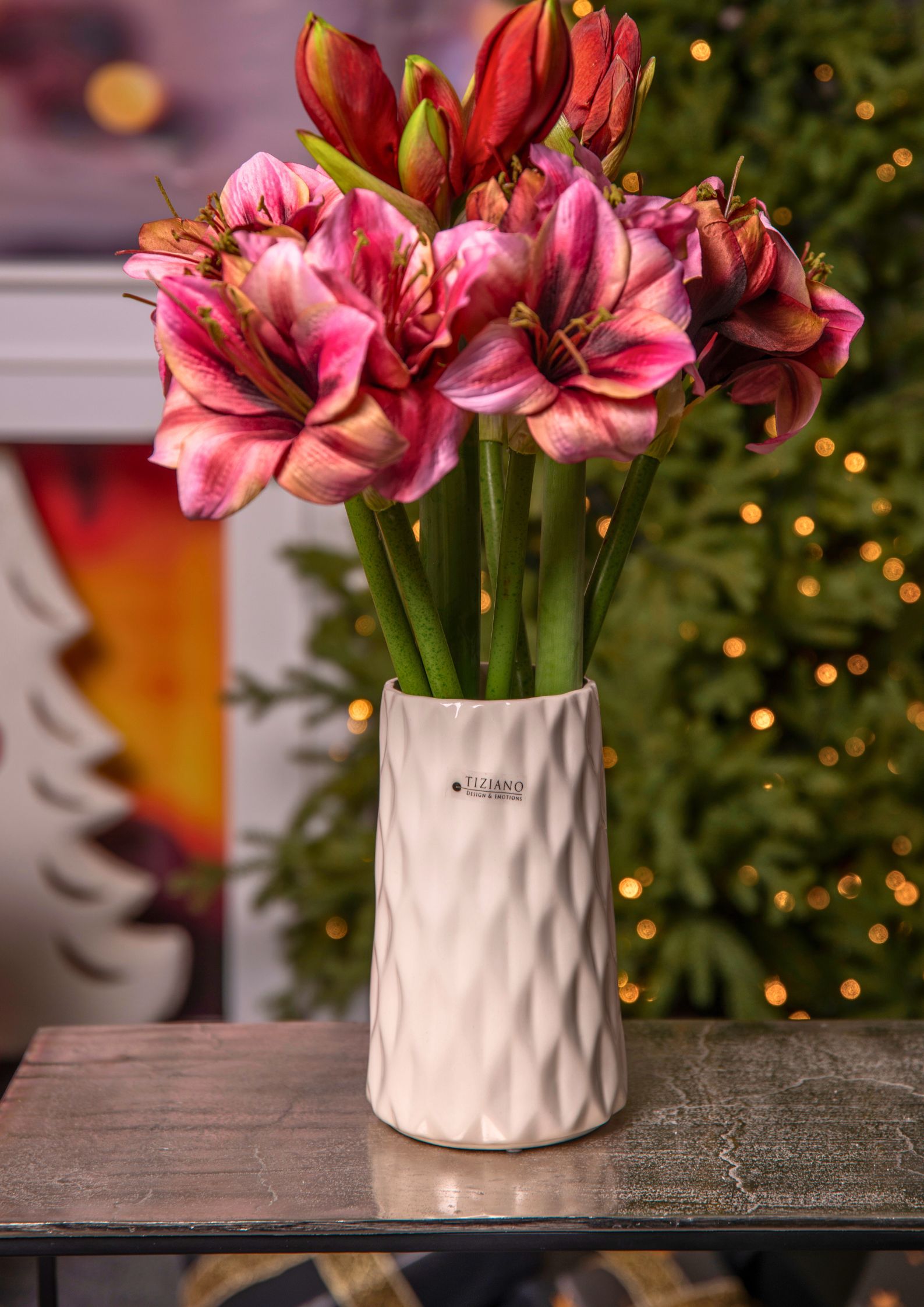 acerra-vase-weiss-creme