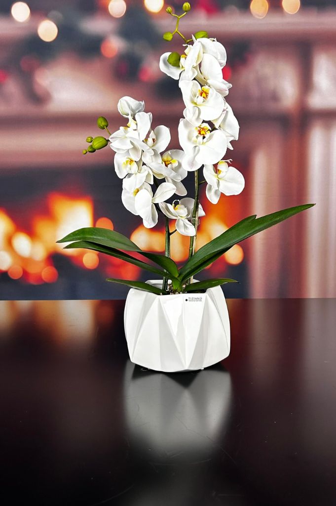 Kübel Alba creme-weiß 2. Wahl