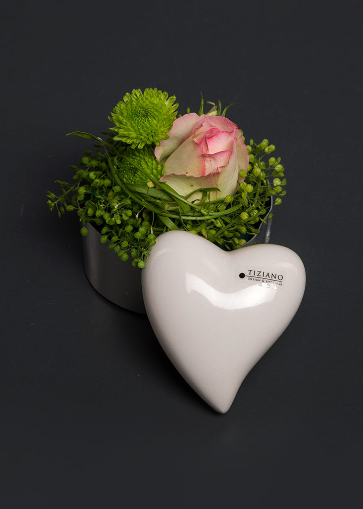 amore-dekoherz-creme