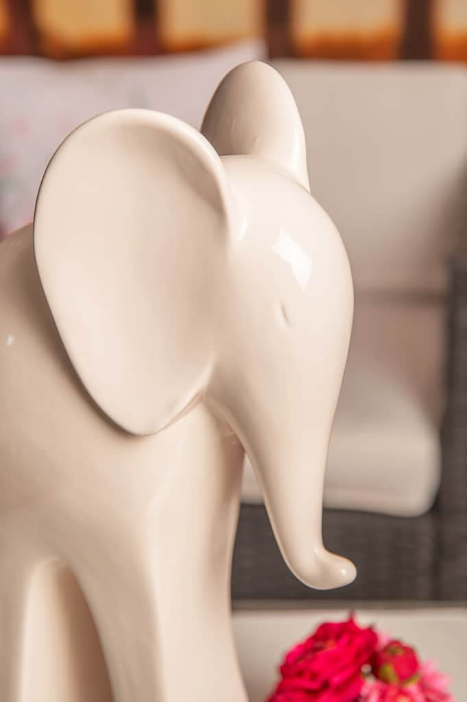 aron-elefant-weiss-creme-gross-detail-gesicht