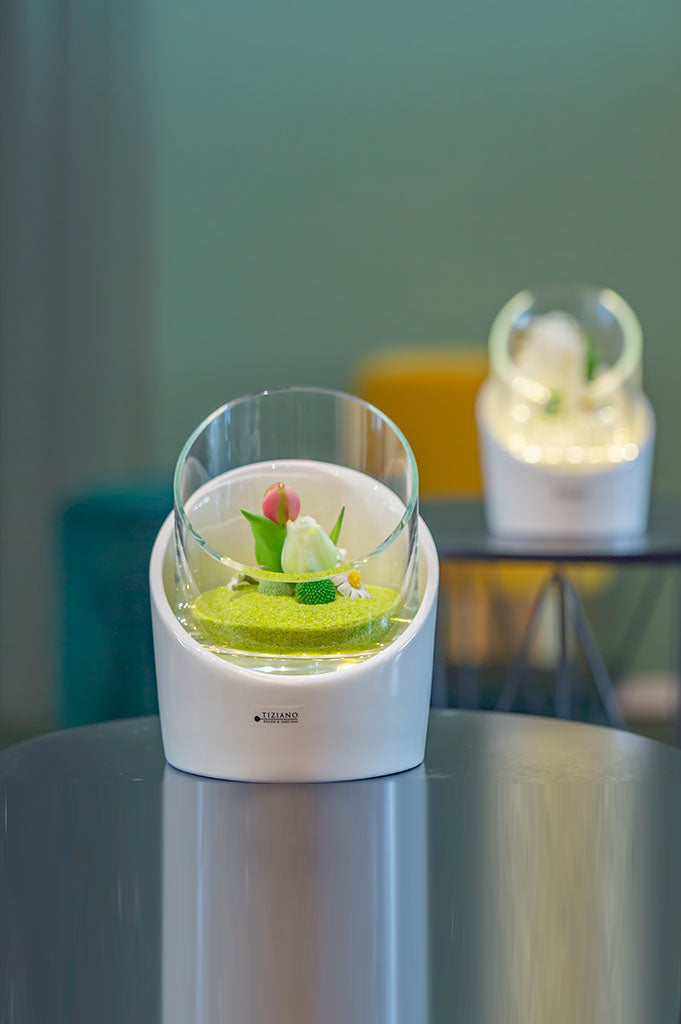 calvo-base-led-dekoriert-collection-fruehling
