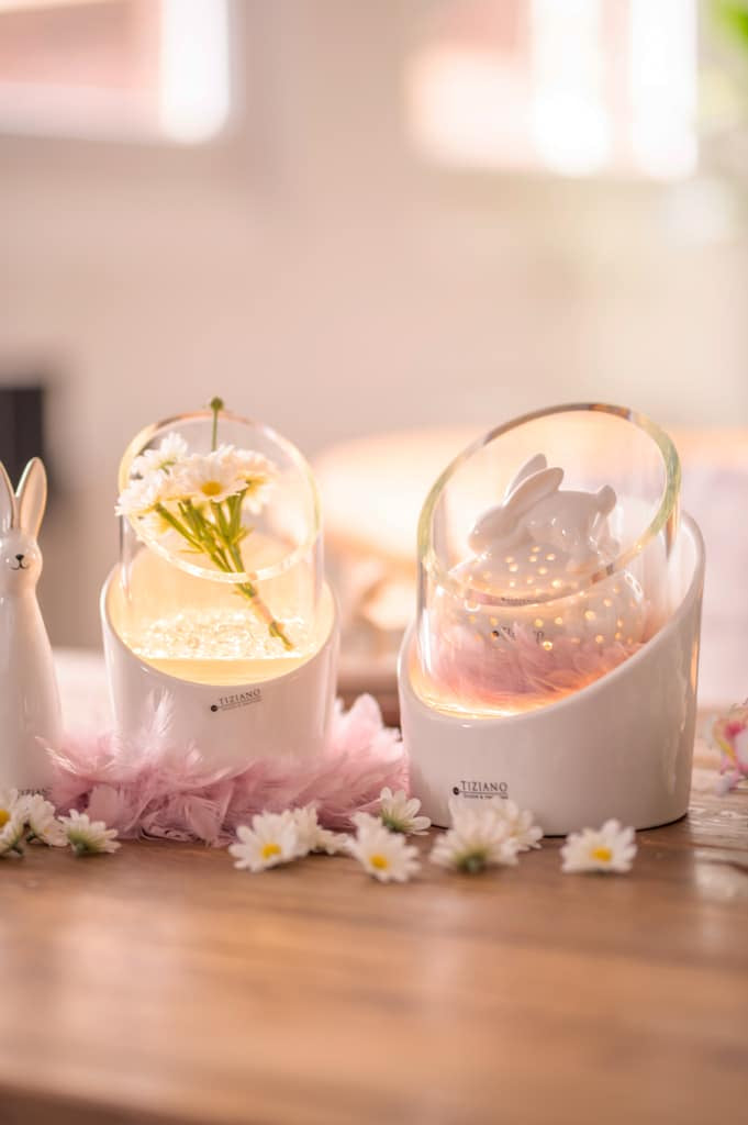 calvo-dekoriert-kollektion