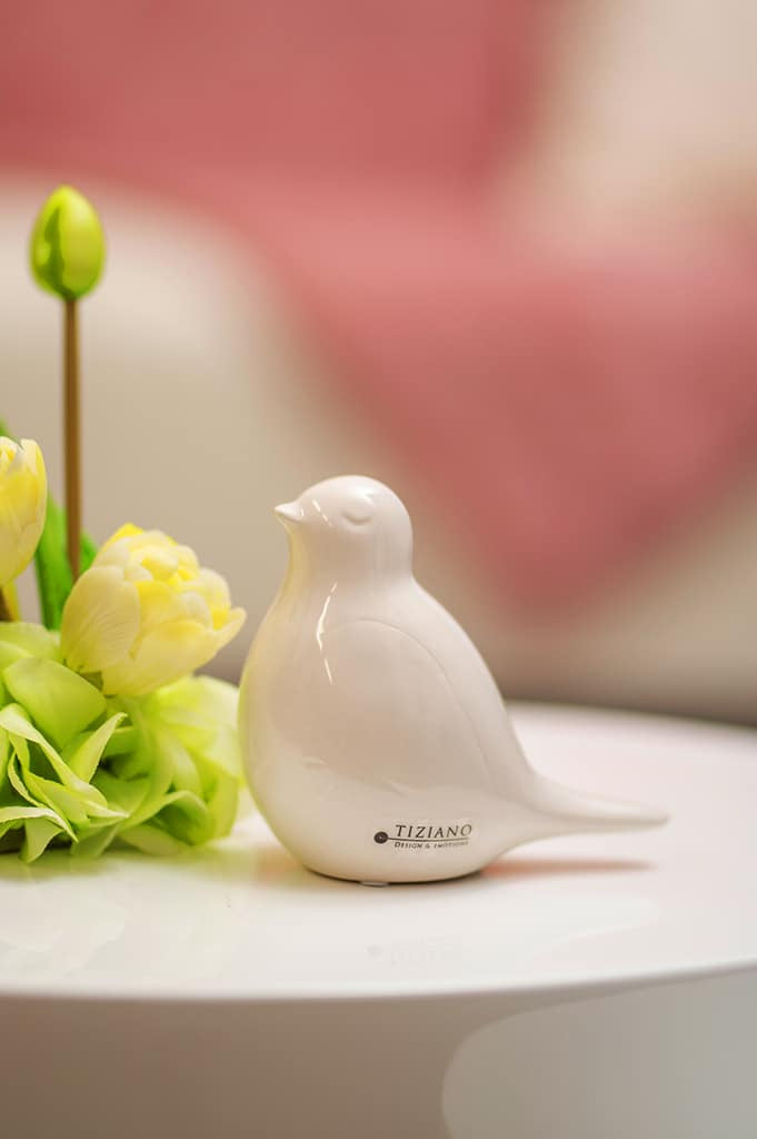 carlotta-weiss-creme