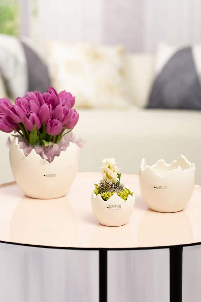 cosmo-kuebel-kollektion