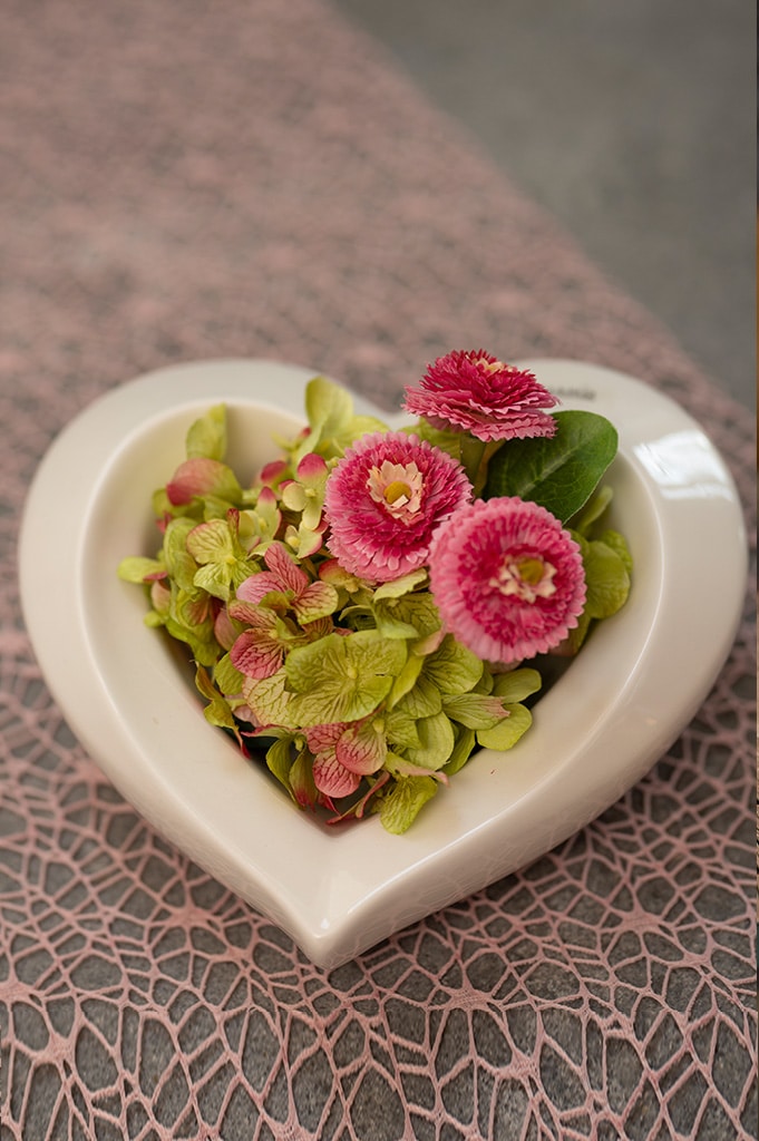 cuora-bellis-hortensien