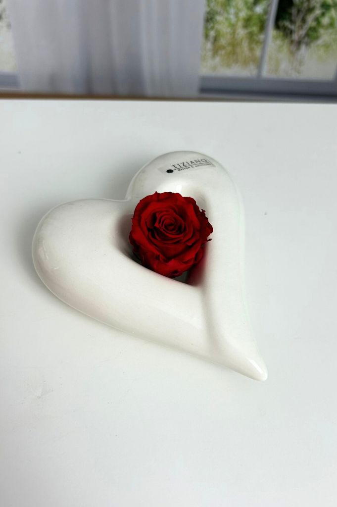 dekoherz-belvina-offen-infinity-rose-rot (1)