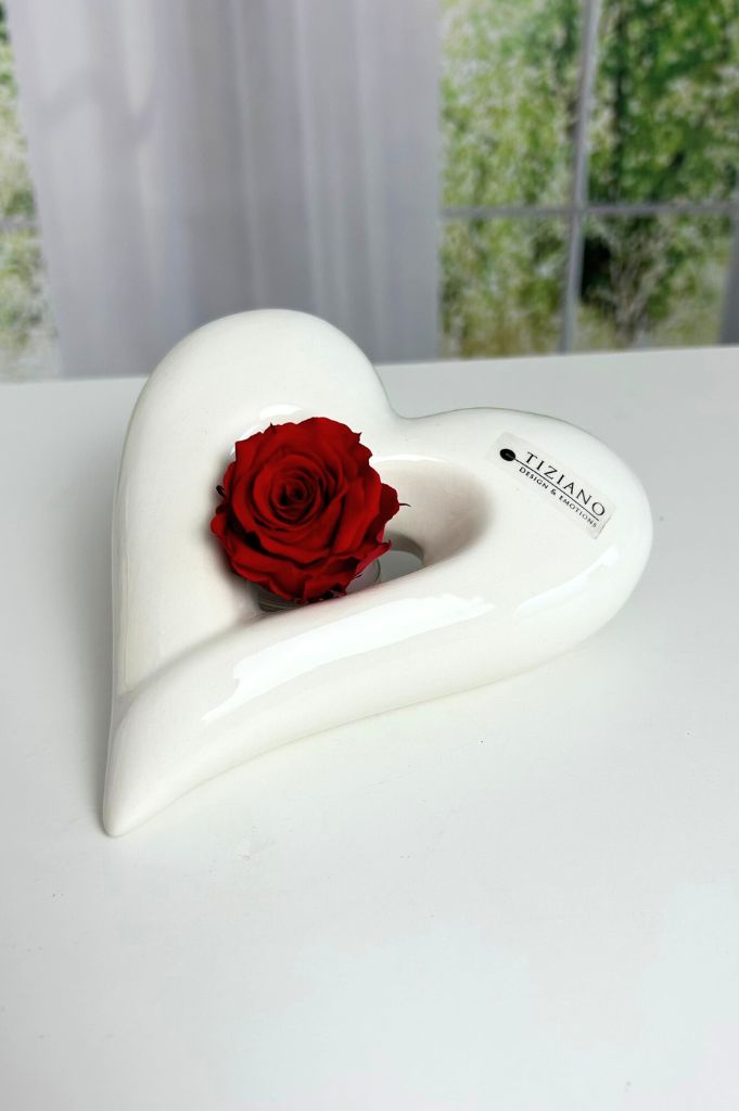 dekoherz-belvina-offen-infinity-rose-rot