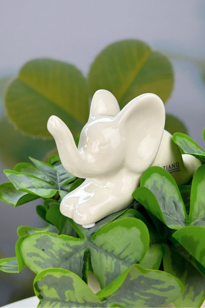 elefant_leon_mini (16)