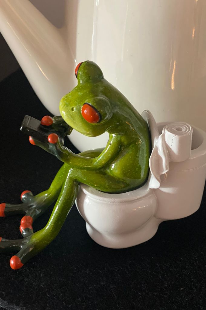 Deko Frosch Fridolin auf Toilette mit Handy hellgrün