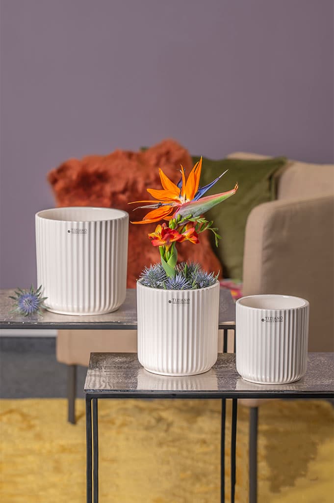 galla-kuebel-collection