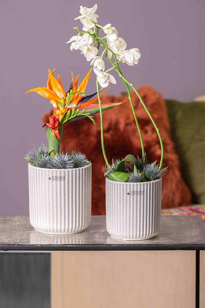 galla-kuebel-grau-collection