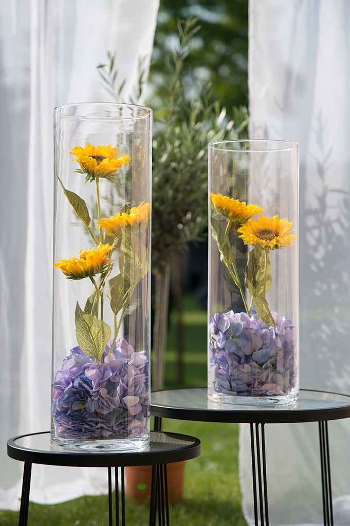 glasvase-zylinder-klar