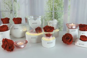 infinity-rosen-karussel