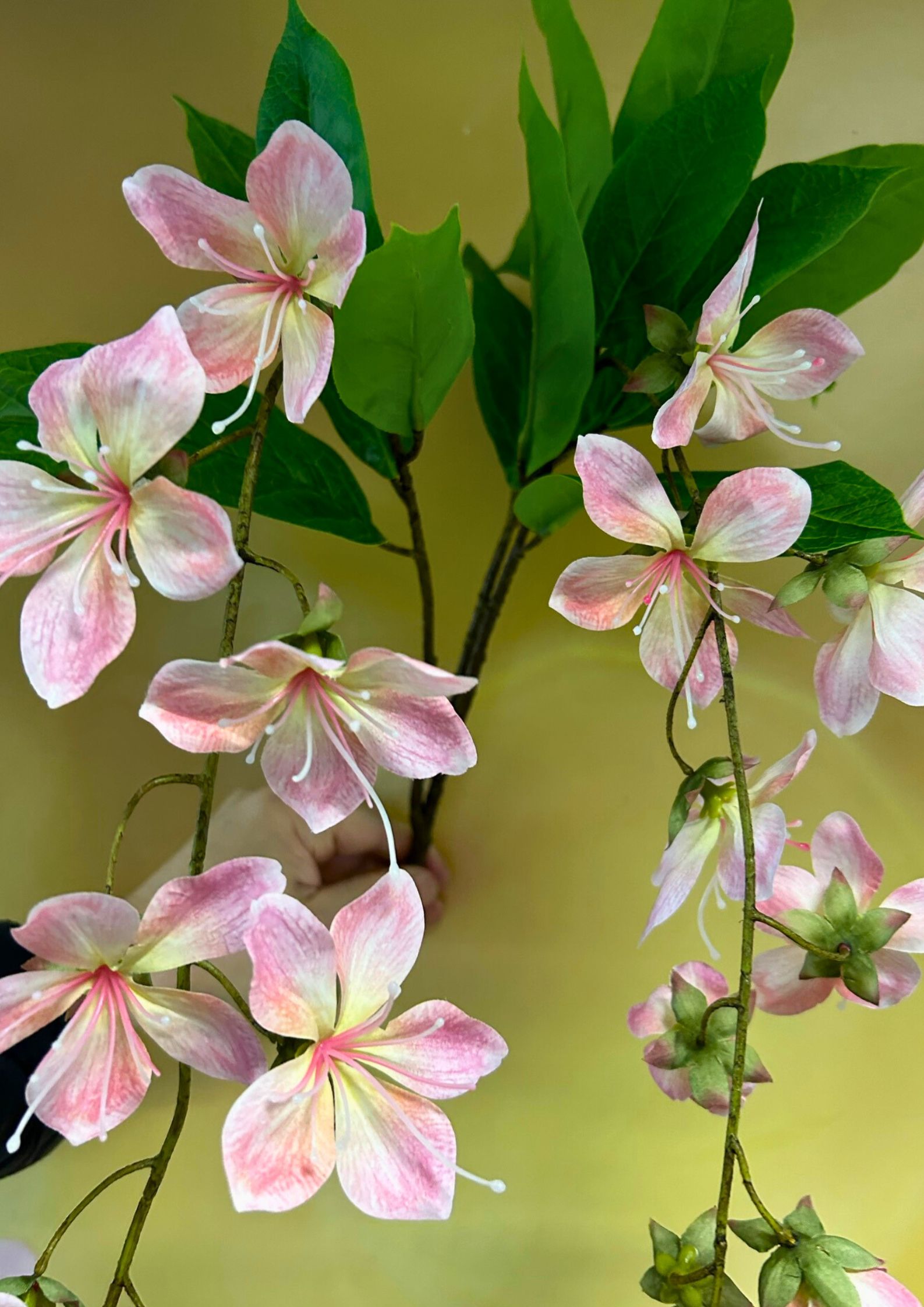 jasminzweig-peach-detail