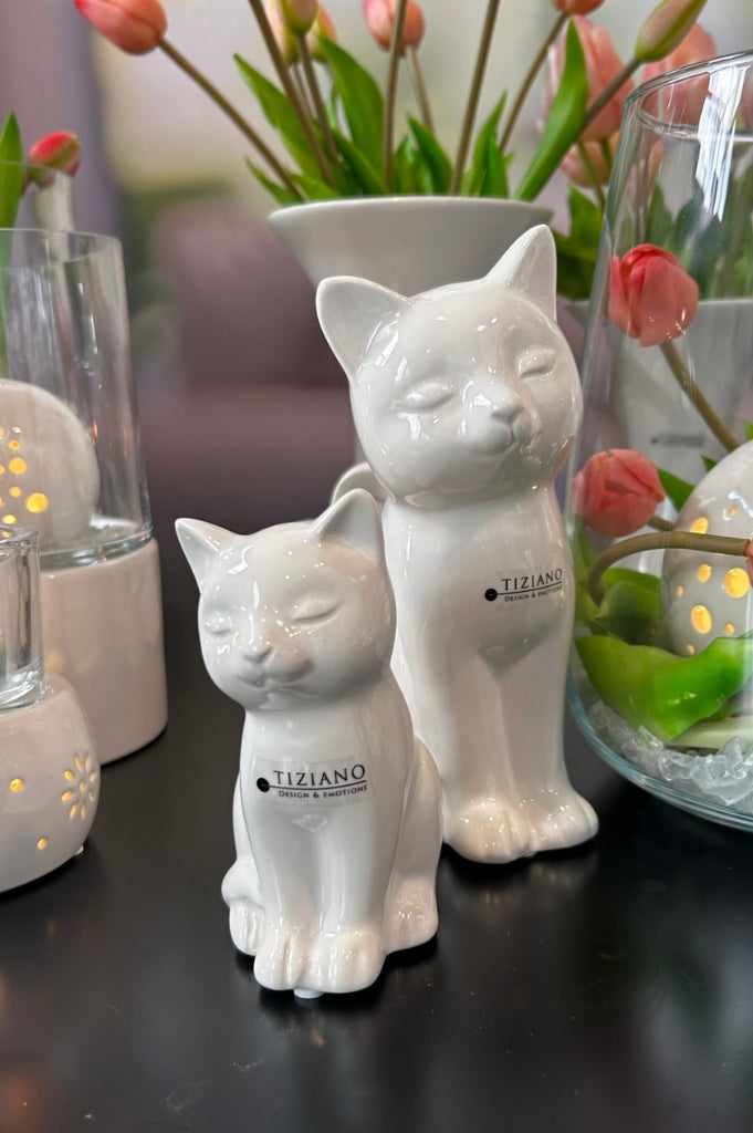 katze_bella_creme