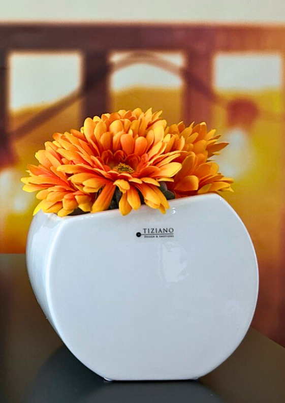 kuebel_coserta_gesamt_nah