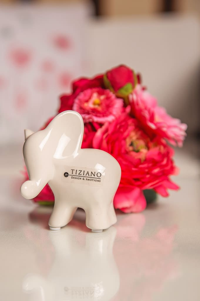 leon-elefant-creme-schauend