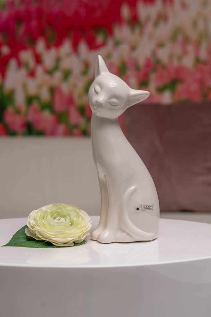 loreana-katze-einzel