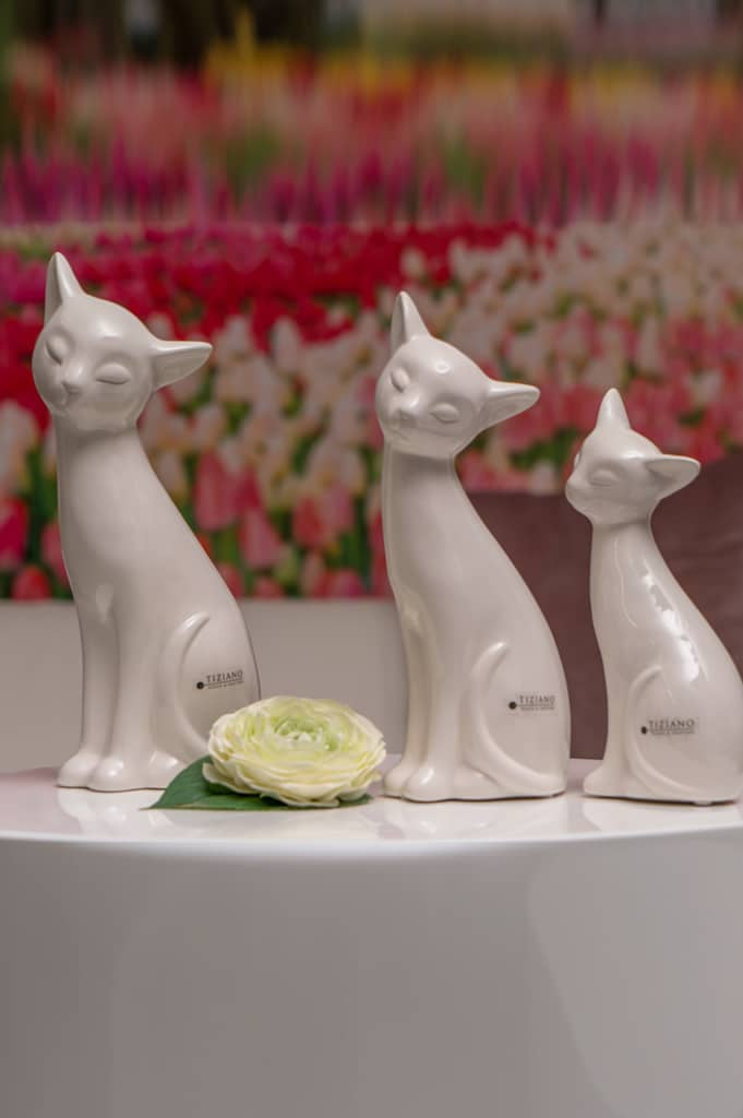 loreana-katze-kollektion