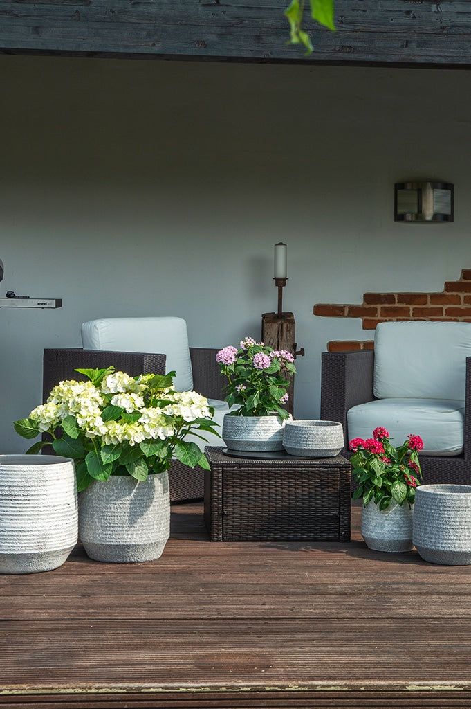 mendes-blumentop-grau-glasiert-kollektion