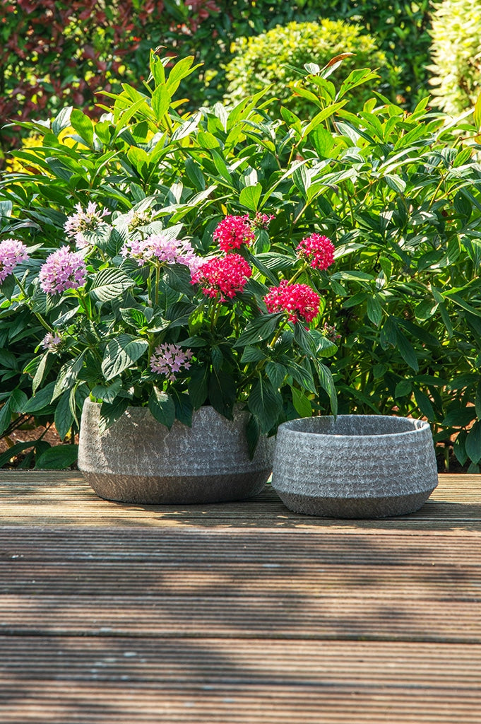 mendes-schale-grau-dunkel