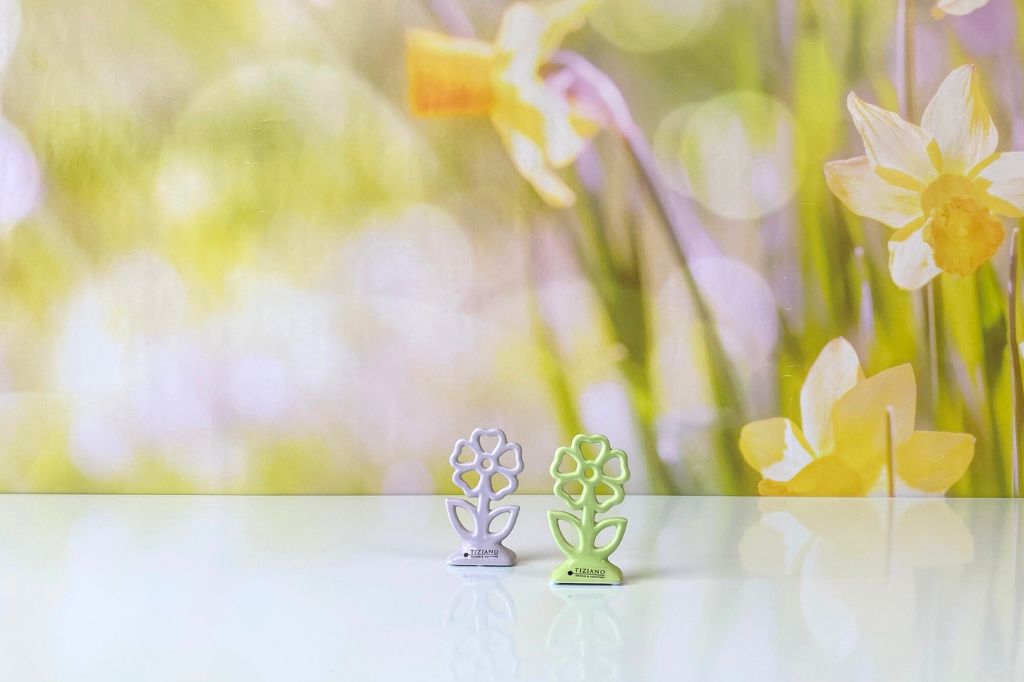 Blume Mesola 12cm grün