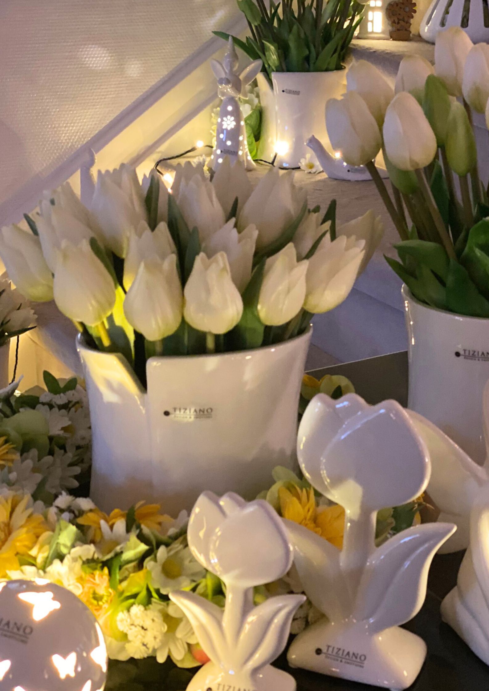 mondavio-m-kurzen-tulpen