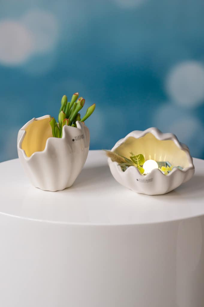 muschel-salino-led-kollektion