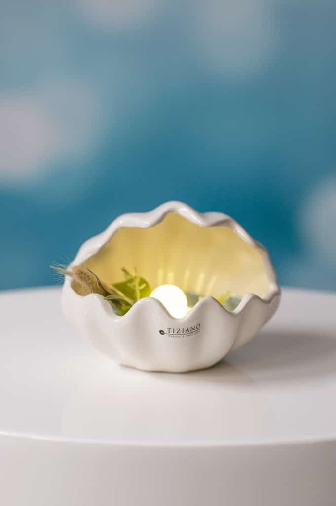 muschel-salino-liegend-led