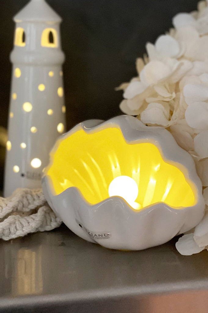 muschel-salino-liegend