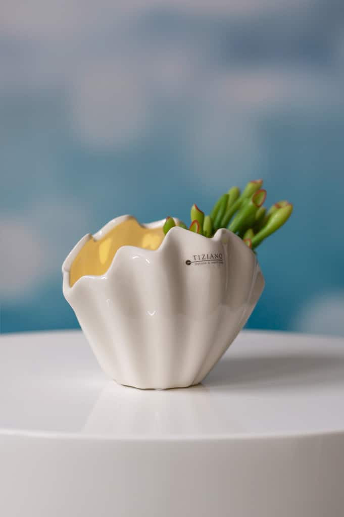 muschel-salino-stehend-led