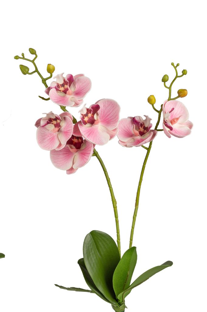 Deko Orchidee 55cm rosa