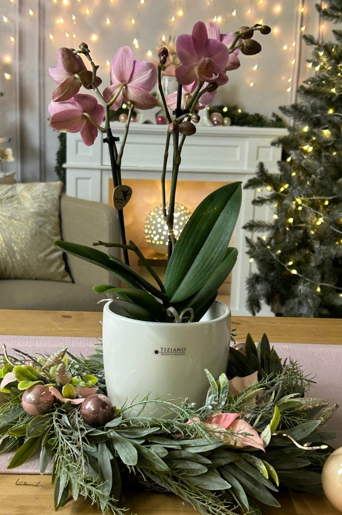 orchideenkübel_florentino (2)