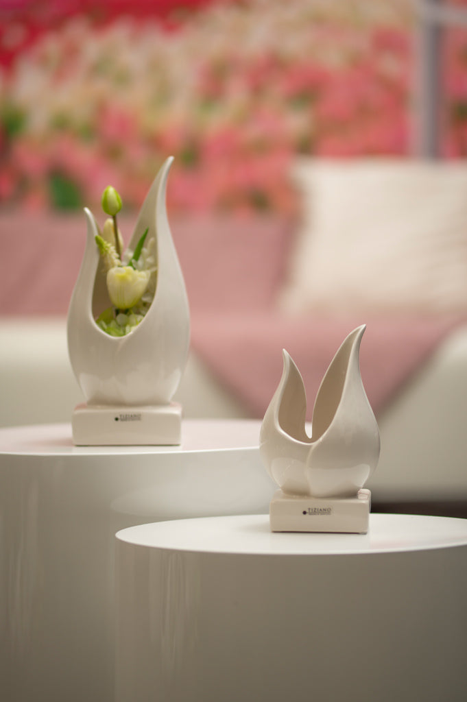 panola-schale-kollektion