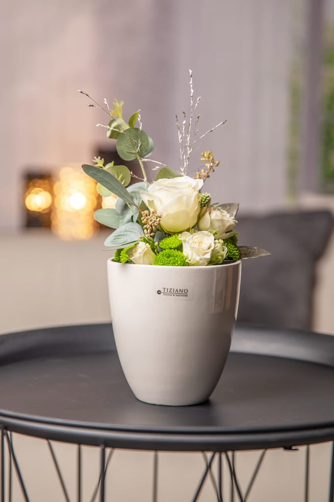 primagera-weiss-creme-1