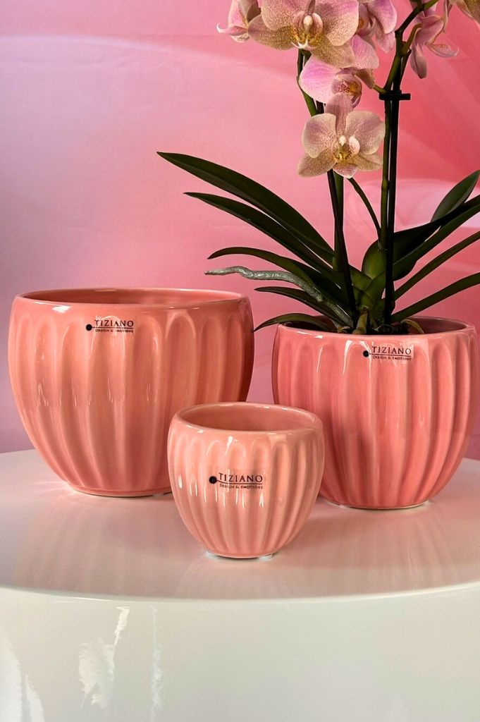 Kübel Prisma hellrosa & dunkelrosa