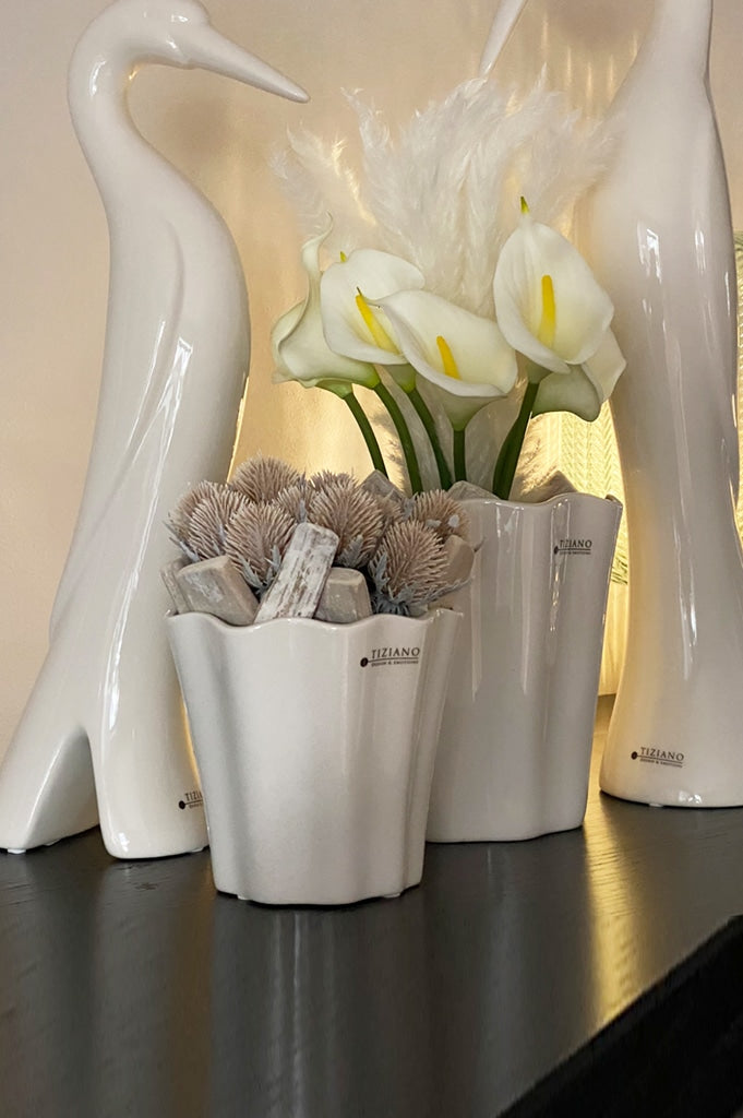 salino-topf-ambiente