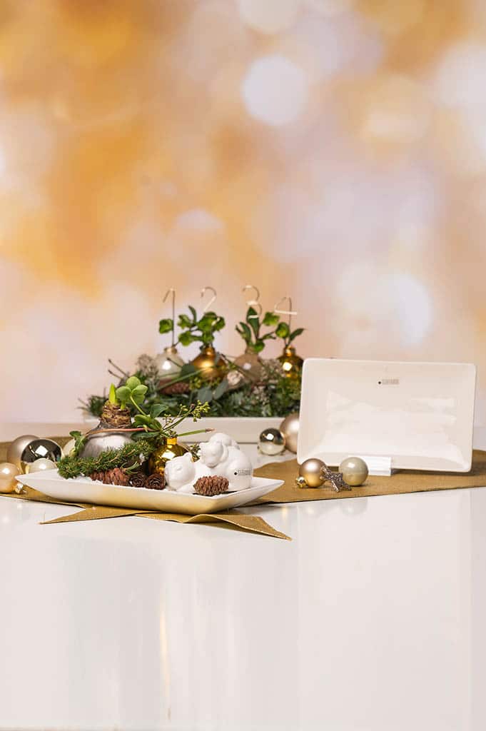 sendina-deko-platte-weiss-creme