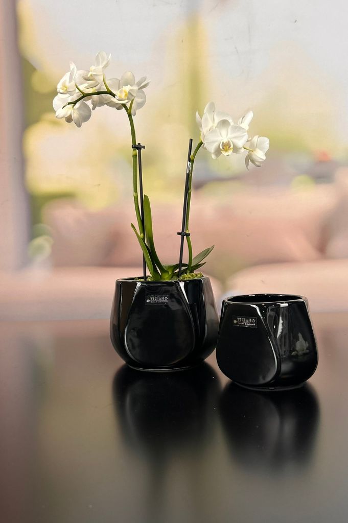 Orchideenkübel Skara 15cm schwarz