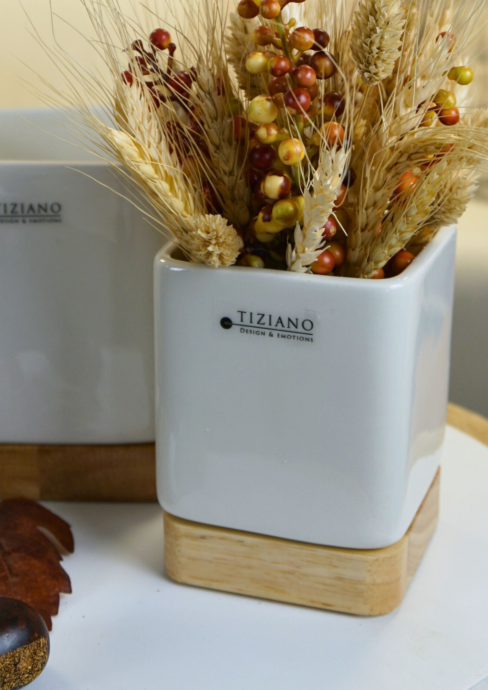 toselli-kuebel-auf-holz-detail