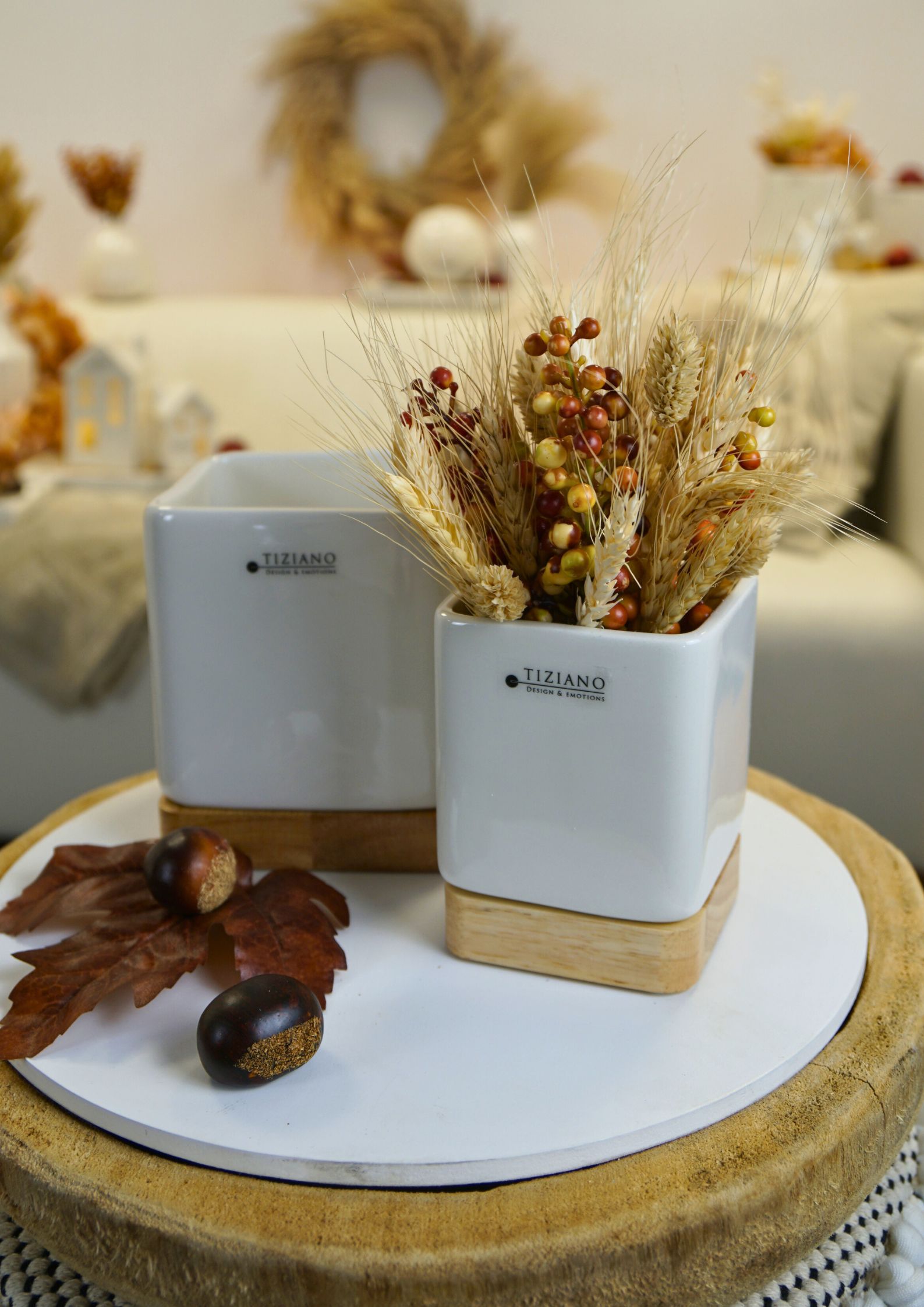 toselli-kuebel-auf-holz