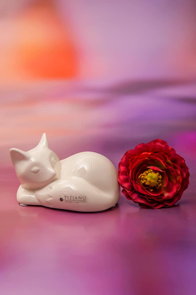 volpo-fuchs-liegend-weis-creme