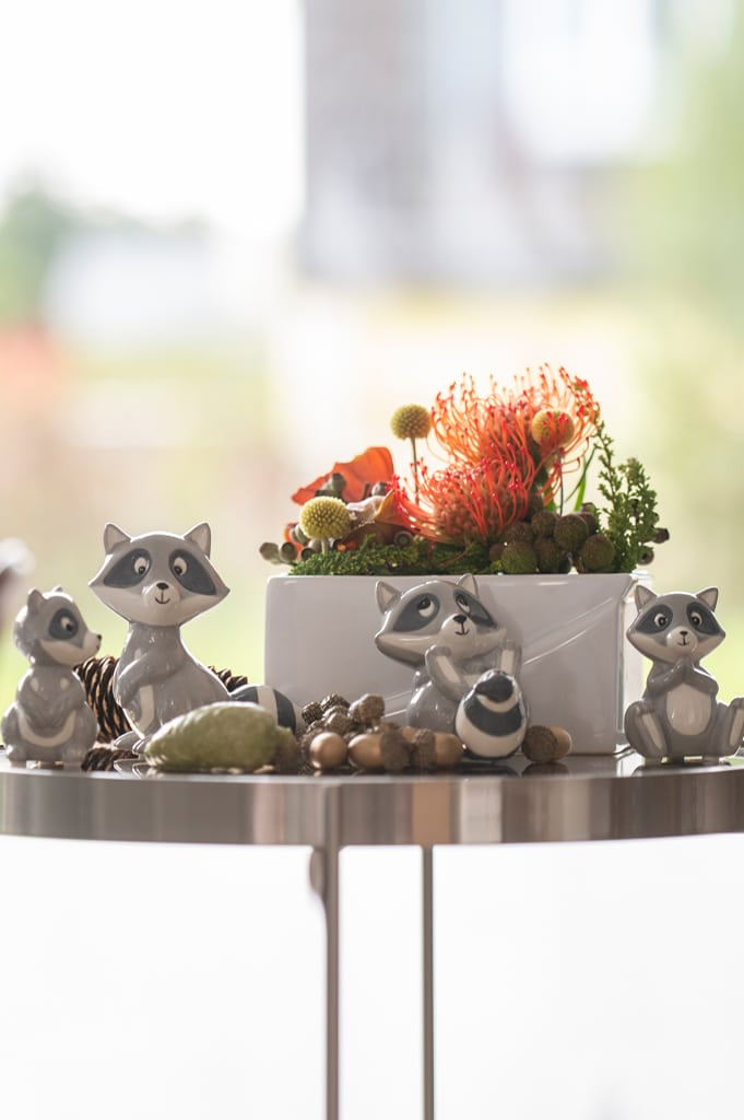 waschbaer-eddi-kollektion