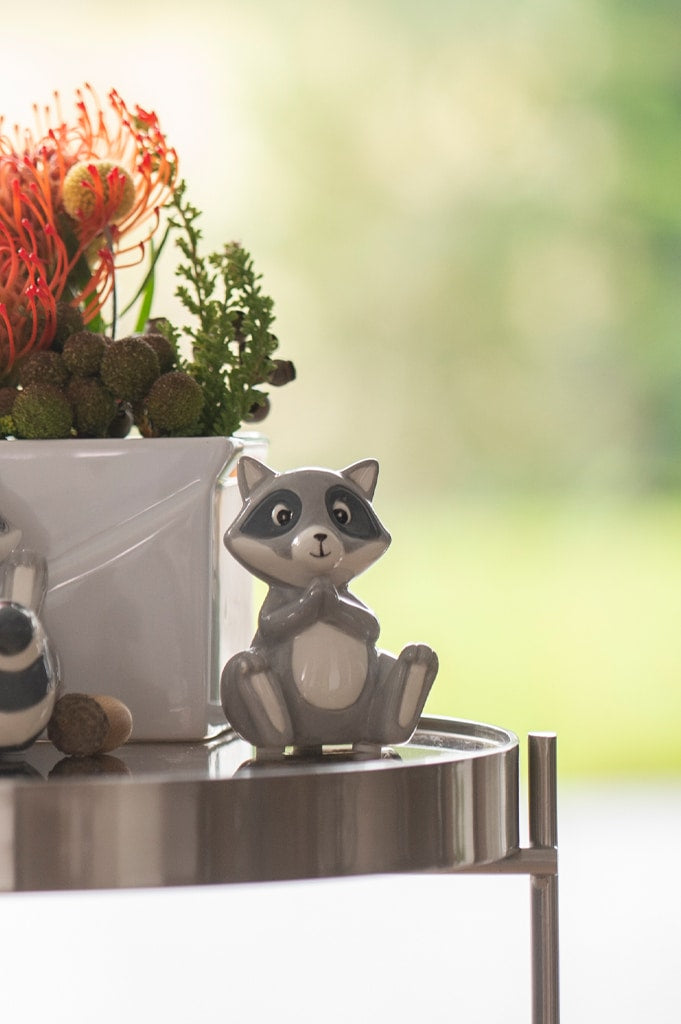 waschbaer-eddi-sitzend