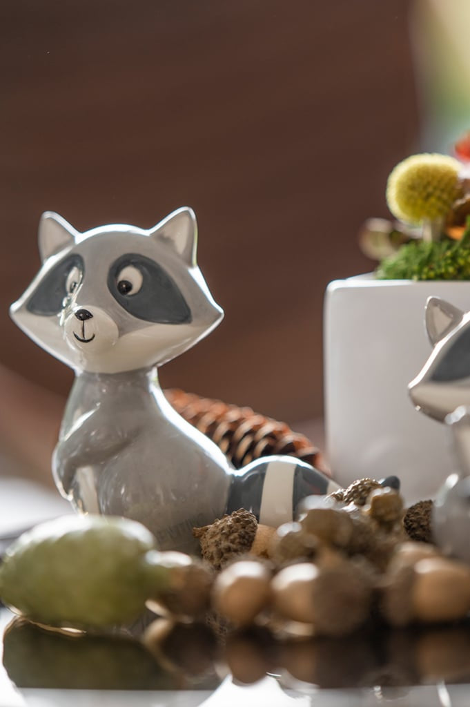 waschbaer-eddi-stehend