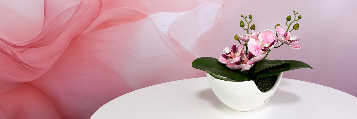 Orchideen Deko – warum sie in keinem Zuhause fehlen sollte