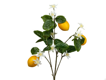 Deko Zitronenzweig mit Blüten 67cm